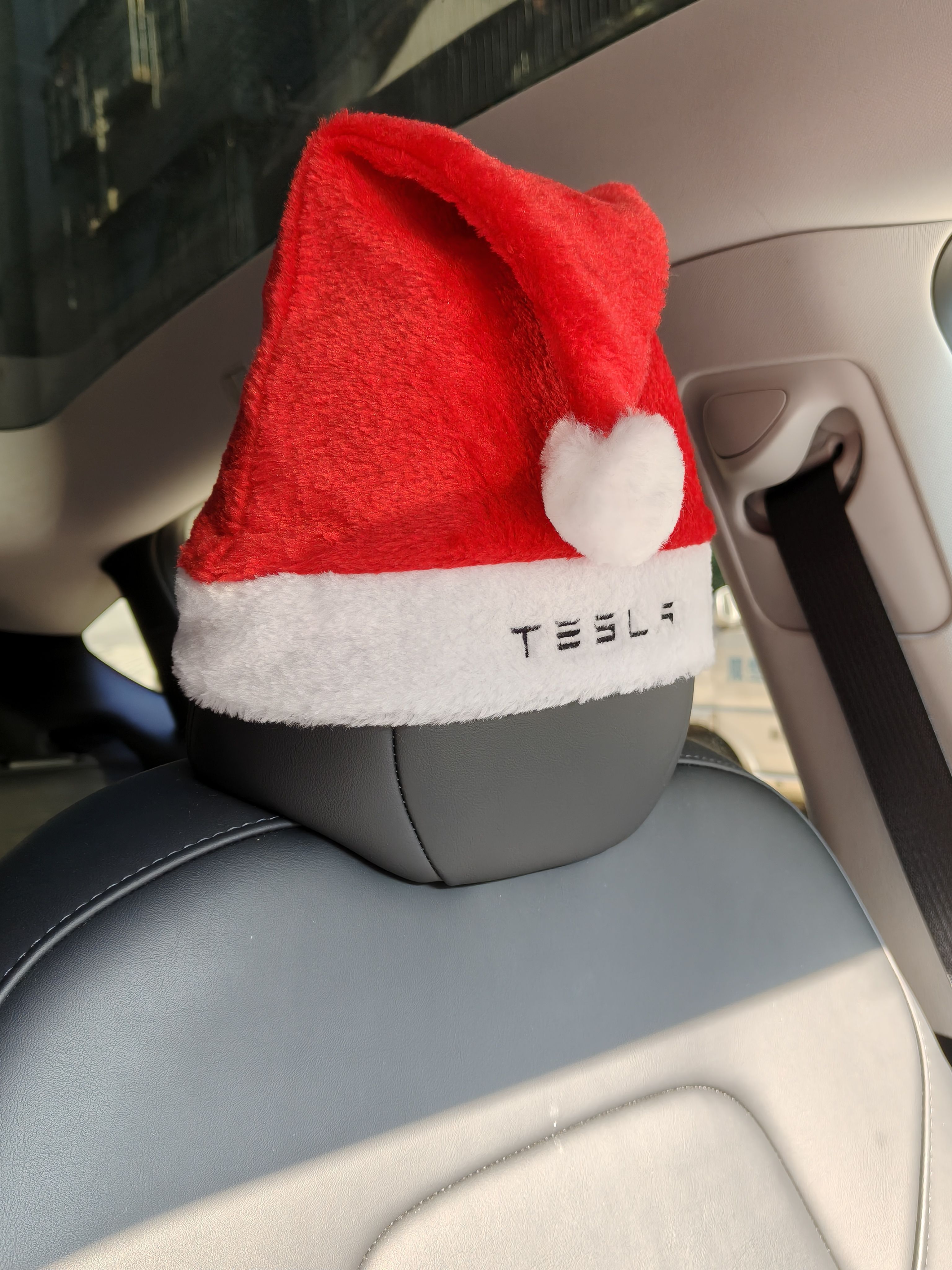 特斯拉礼品圣诞帽红色帽喜庆