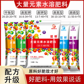 大量元 高钾平衡膨果柑桔果树蔬菜叶面肥 素水溶肥料冲施肥花卉正品
