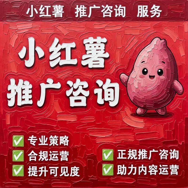小红xhs薯书推流代投作品推广小红薯文案笔记加热xh书投放运营
