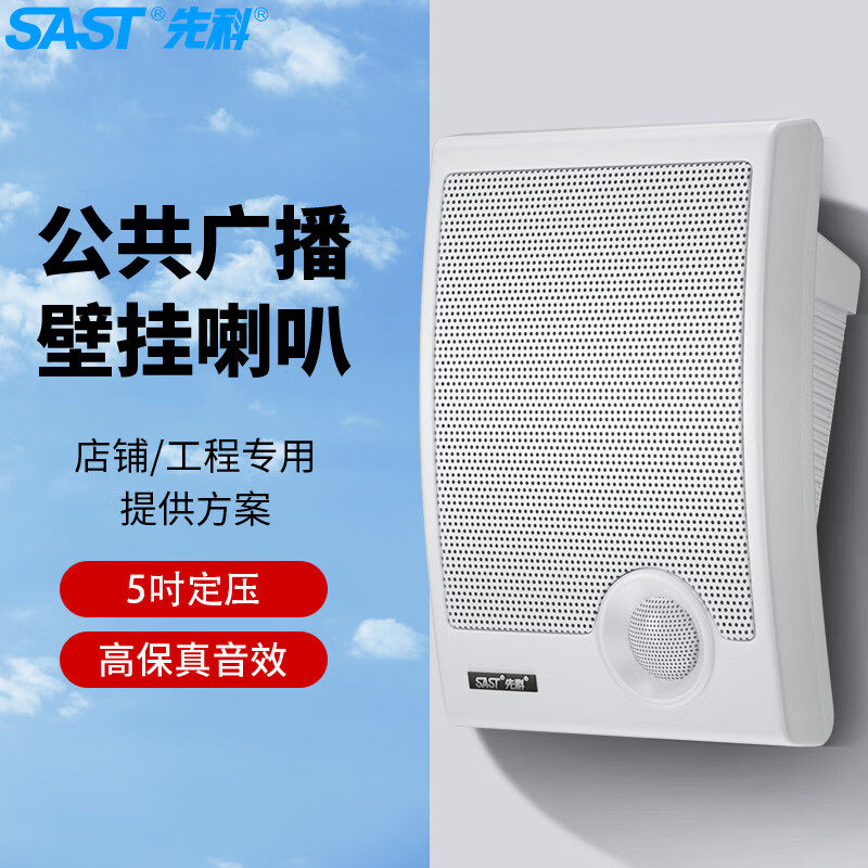 先科A2壁挂音响音箱店铺专用室内无线蓝牙超市餐厅挂壁式商用