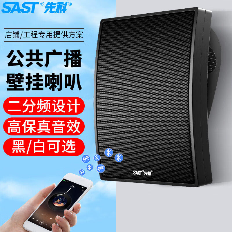 先科A6壁挂音响音箱店铺用餐厅悬挂墙挂壁式室内无线蓝牙专用功放