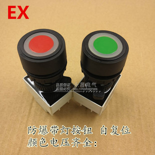 防爆按钮 防爆带灯按钮开关 BA8050/8030 防爆控制开关 开孔30MM