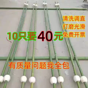 三月三跳舞竹竿舞专用竹竿幼儿园跳舞用竹竿小学生舞蹈竹杆长竹子