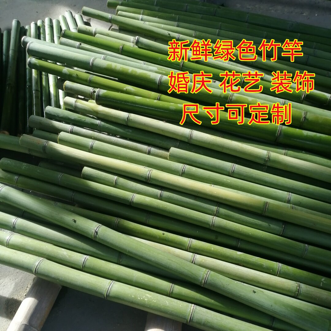 绿色长竹竿救援救生竹杆