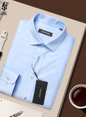 雅戈尔衬衫男长袖蓝色条纹商务休闲免烫抗皱职业工装上班衬衣春季