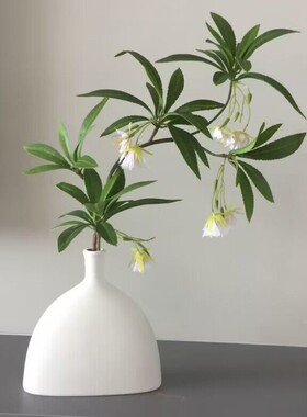 水石榕花仿真花客厅餐桌植物仿生绿植摆件干花假花装饰花造景摆设