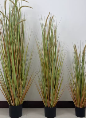 仿真绿植狗尾草假芦苇草落地摆件