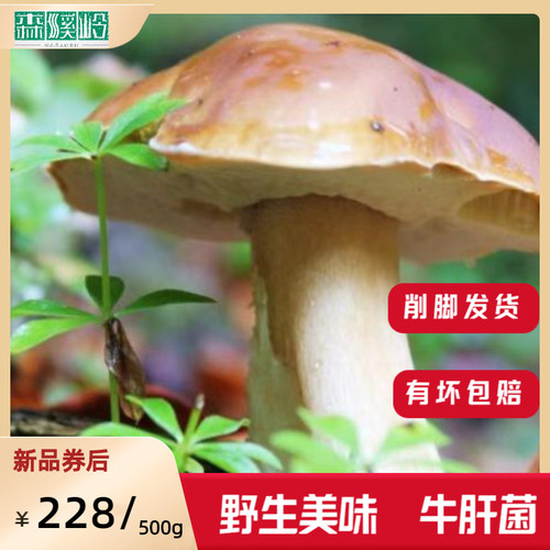 纯野生菌牛肝菌削脚发货食用率高