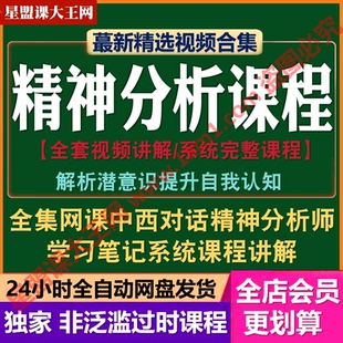 精神分析课程萨提亚治疗模式咨询教学初级案例解析心理学视频全集