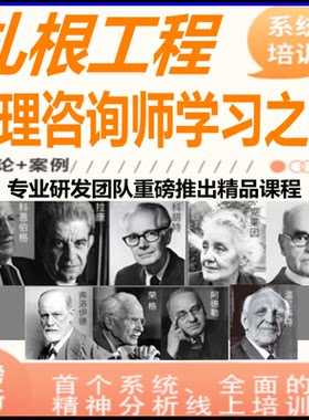 心理咨询师系统课程扎根工程精神分析武老师督导从业视频教程全集