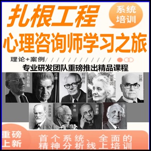 心理咨询师系统课程扎根工程精神分析武老师督导从业视频教程全集