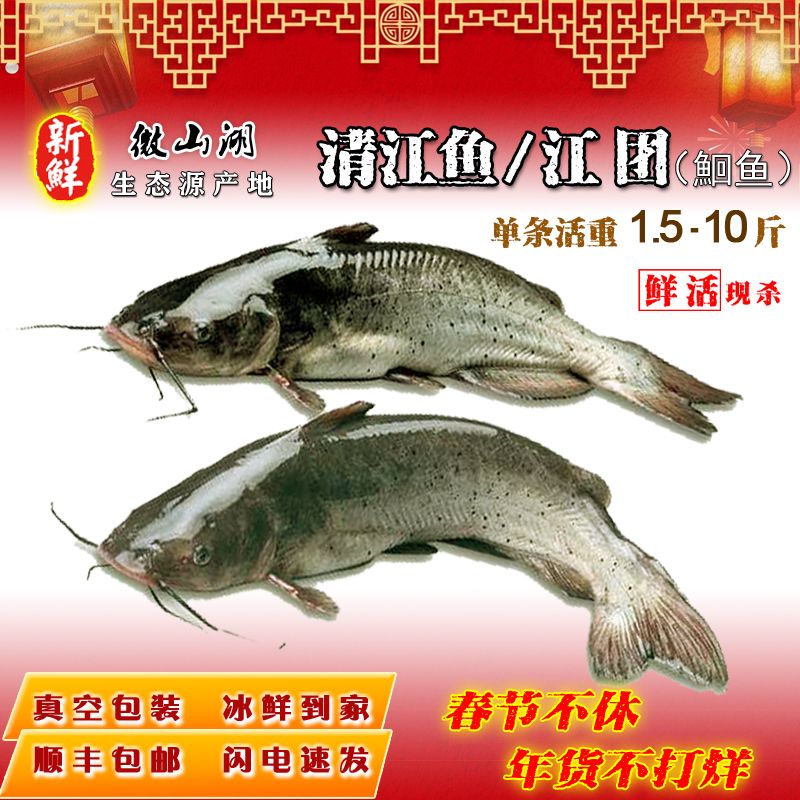 年货大鱼顺丰速发鲜活现杀清江鱼鮰鱼江团烤鱼石锅鱼纸包鱼酸菜鱼