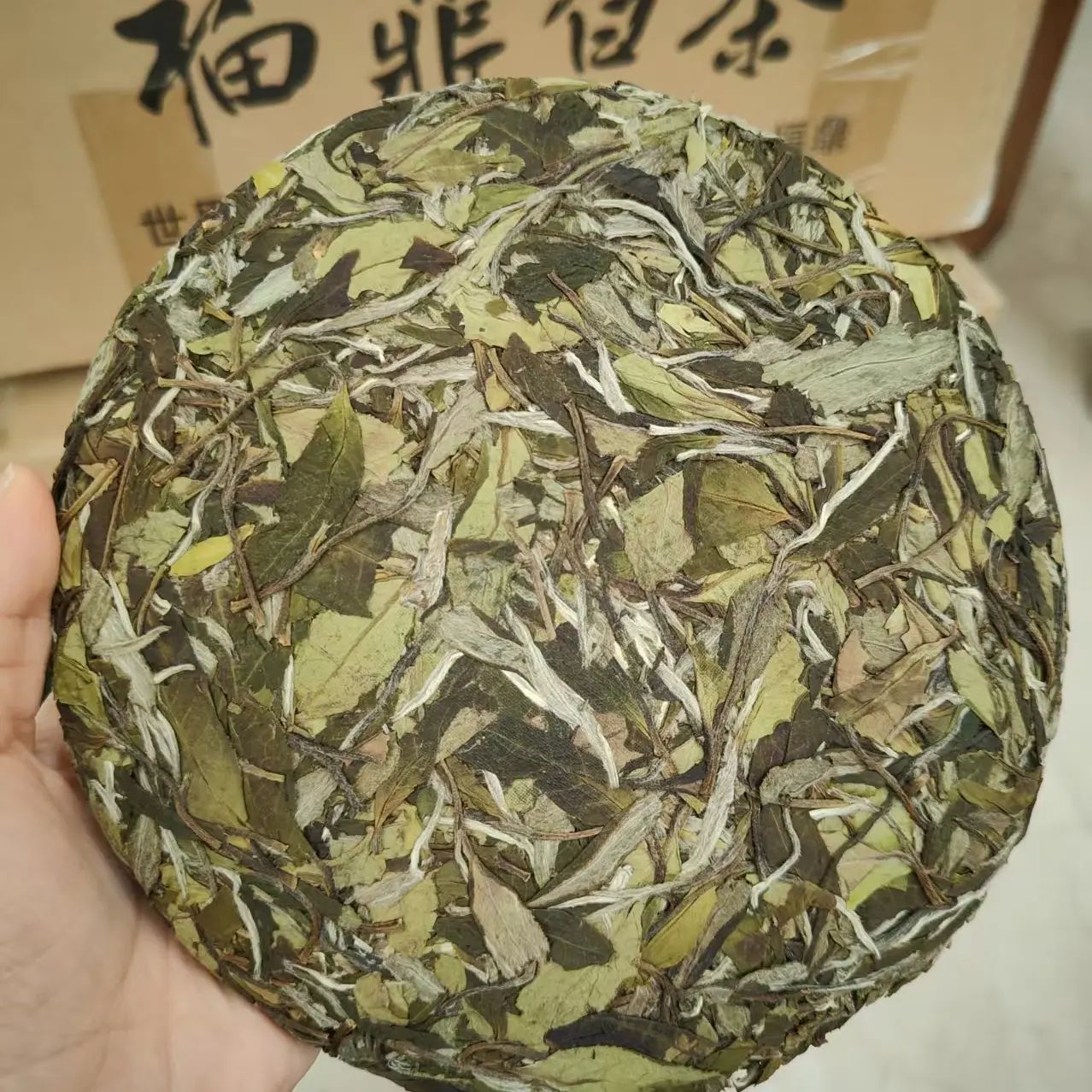盛泰福鼎白茶 白牡丹饼茶 2025年高山花香白茶源头厂家直销