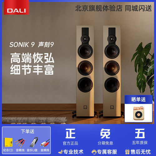 达尼声刻9落地重低音影院主音箱