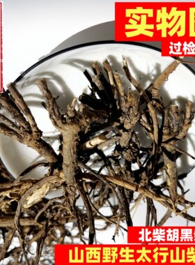 野生黑柴胡平顺中药材种植