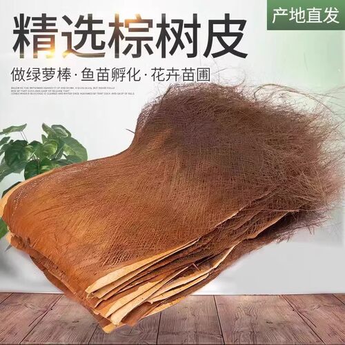棕皮棕毛棕树皮棕榈树皮棕片