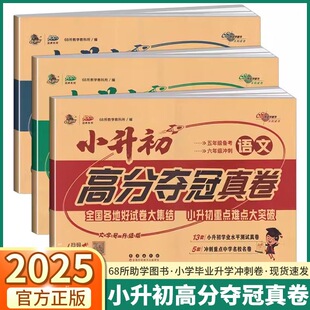 【现货速发】68所名校 小升初高分夺冠真卷 全国各地好试卷大集结 小学生升初中生重点难点突破 学业水平测试真卷冲刺名校名卷