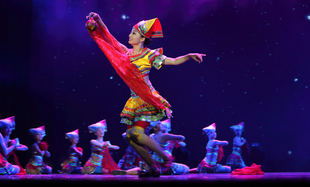 绣球女服桃李杯儿童成人壮族民族民间舞舞台表演舞蹈演出服装服饰