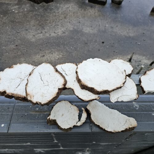 云南茯苓无硫白茯苓带皮茯苓熬粥泡茶煲汤
