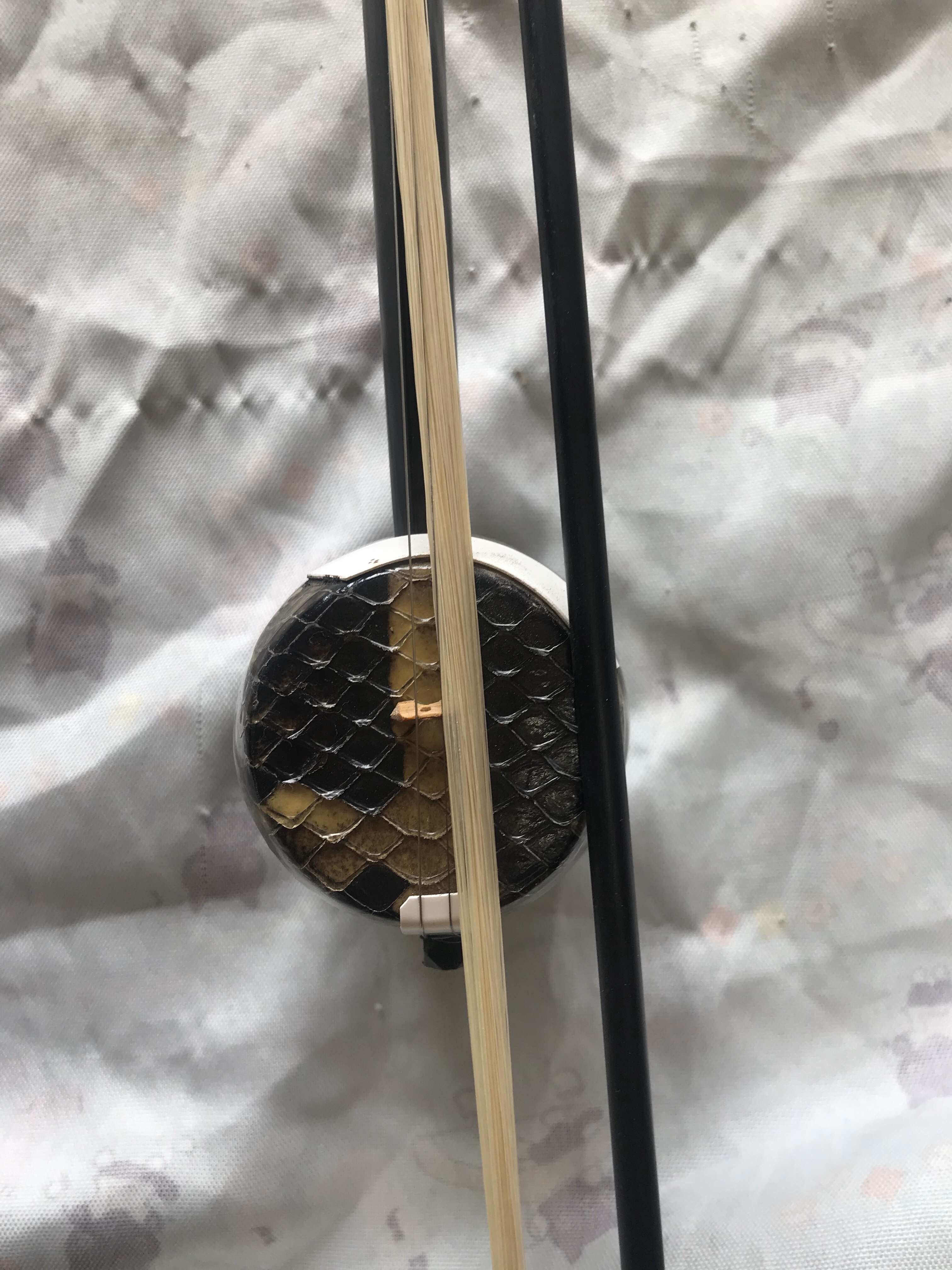 トレンディな楽器、マホガニーガオフ