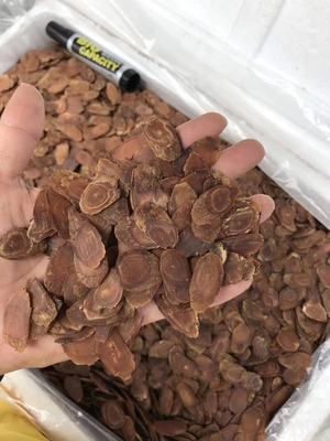 无糖红参片中片500克整枝边条