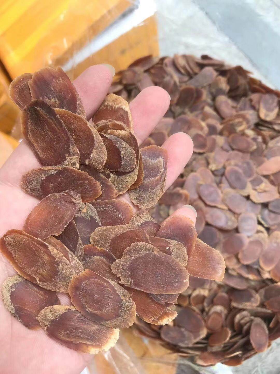 吉林长白山6年根整枝边条红参片