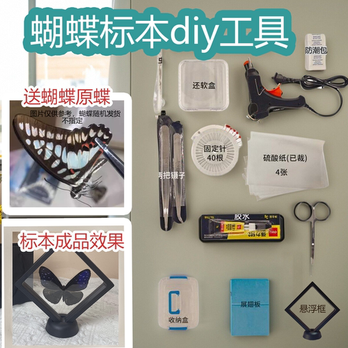 蝴蝶标本diy材料包昆虫制作工具
