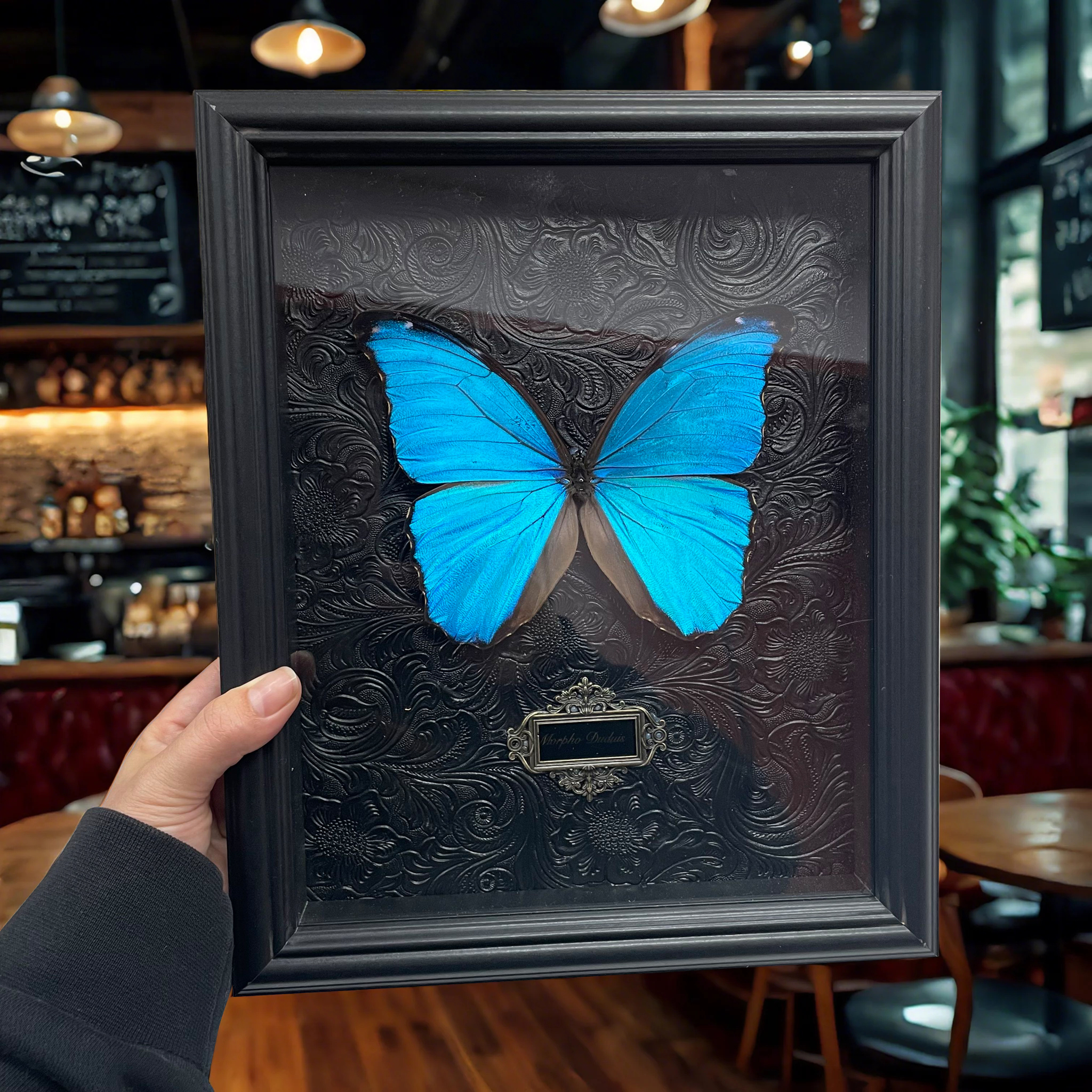 蝴蝶標本相框真玻璃裝飾畫