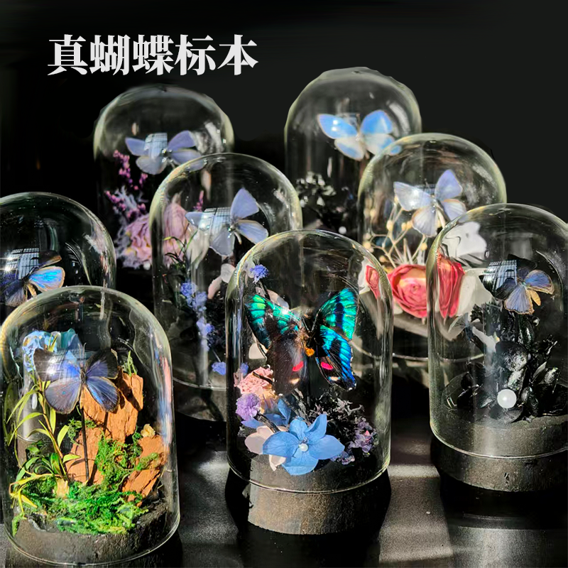 精致高级生态瓶礼品真蝴蝶标本办公桌面摆件玻璃罩小众生日礼物女,家居饰品,标本类装饰画,淘宝优惠券,粉丝福利购,淘宝优惠卷