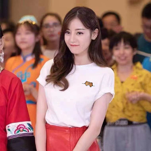 夏女士t恤上衣短袖宽松半袖纯棉刺绣圆领宽松打底衫情侣亲子学生