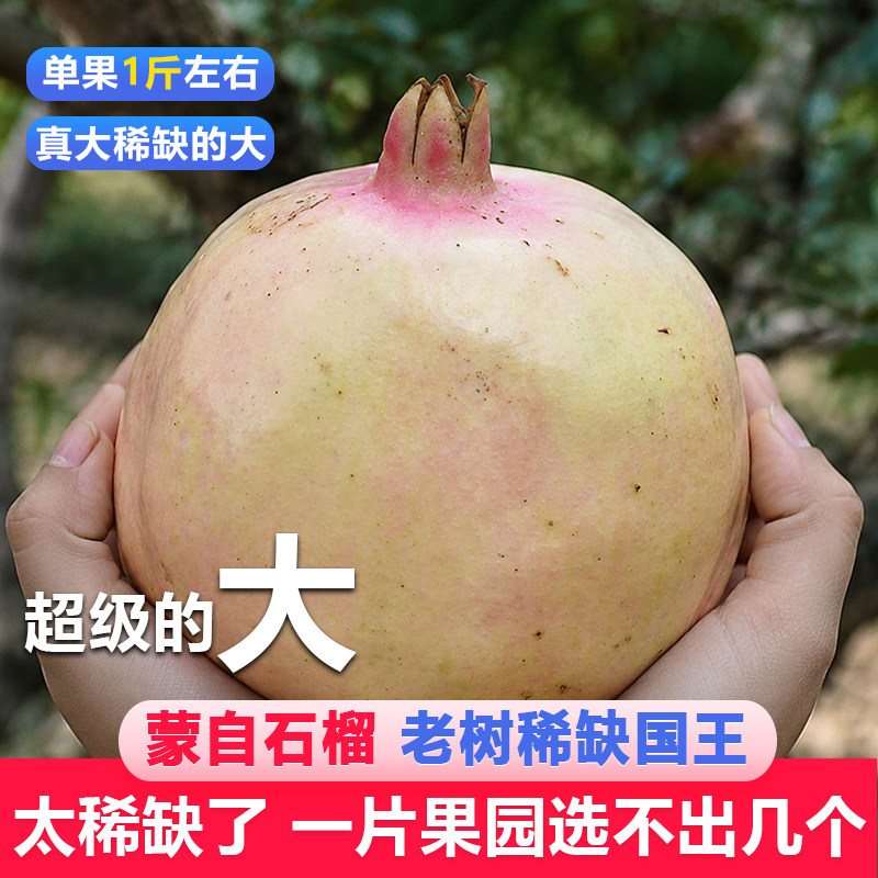 一家只做精品蒙自石榴的10年老店