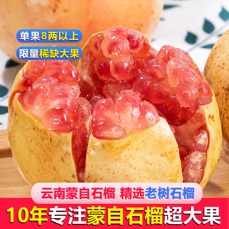 云南蒙自石榴老树稀缺超级大果