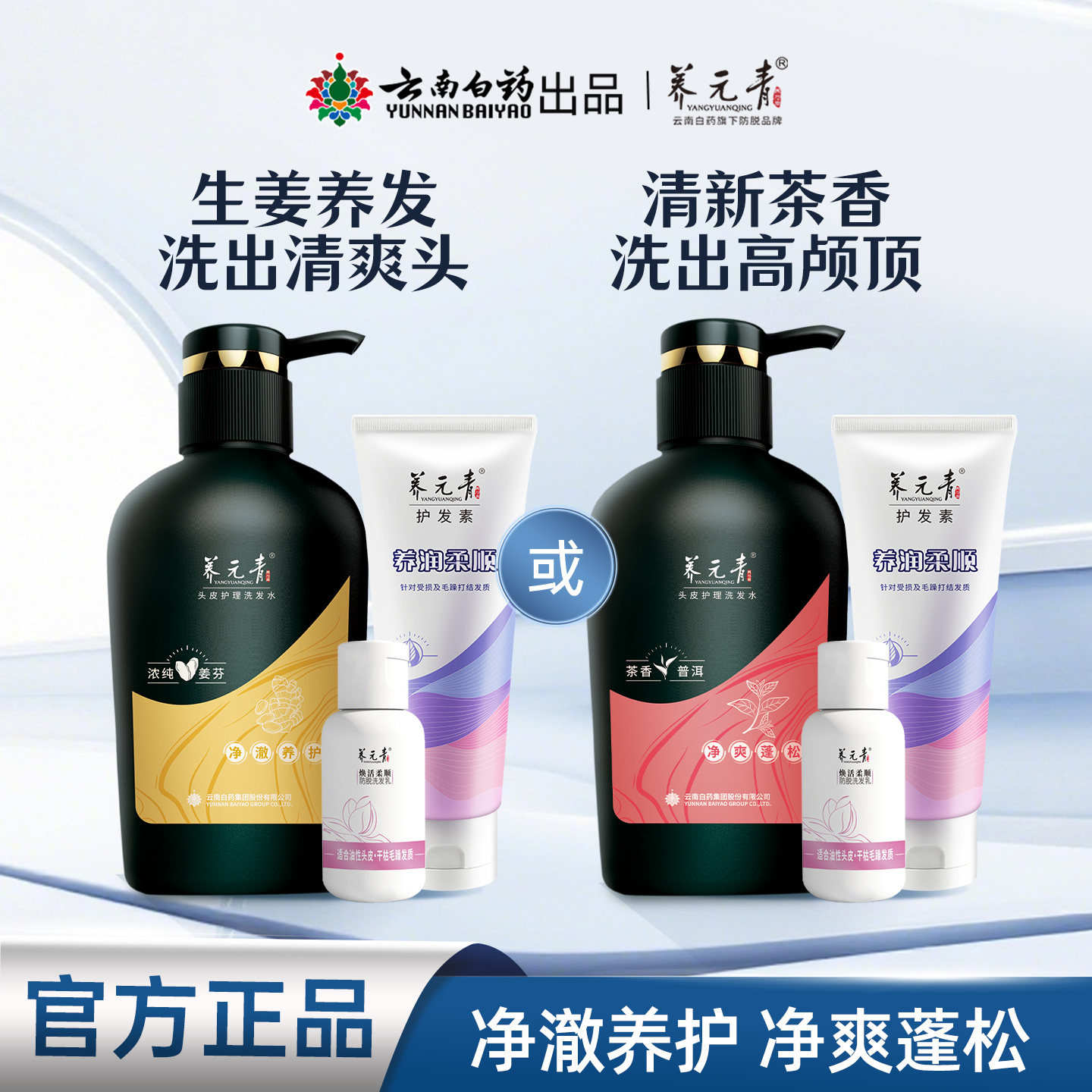 【官旗】云南白药养元青生姜精粹普洱茶香清爽控油蓬松洗发水