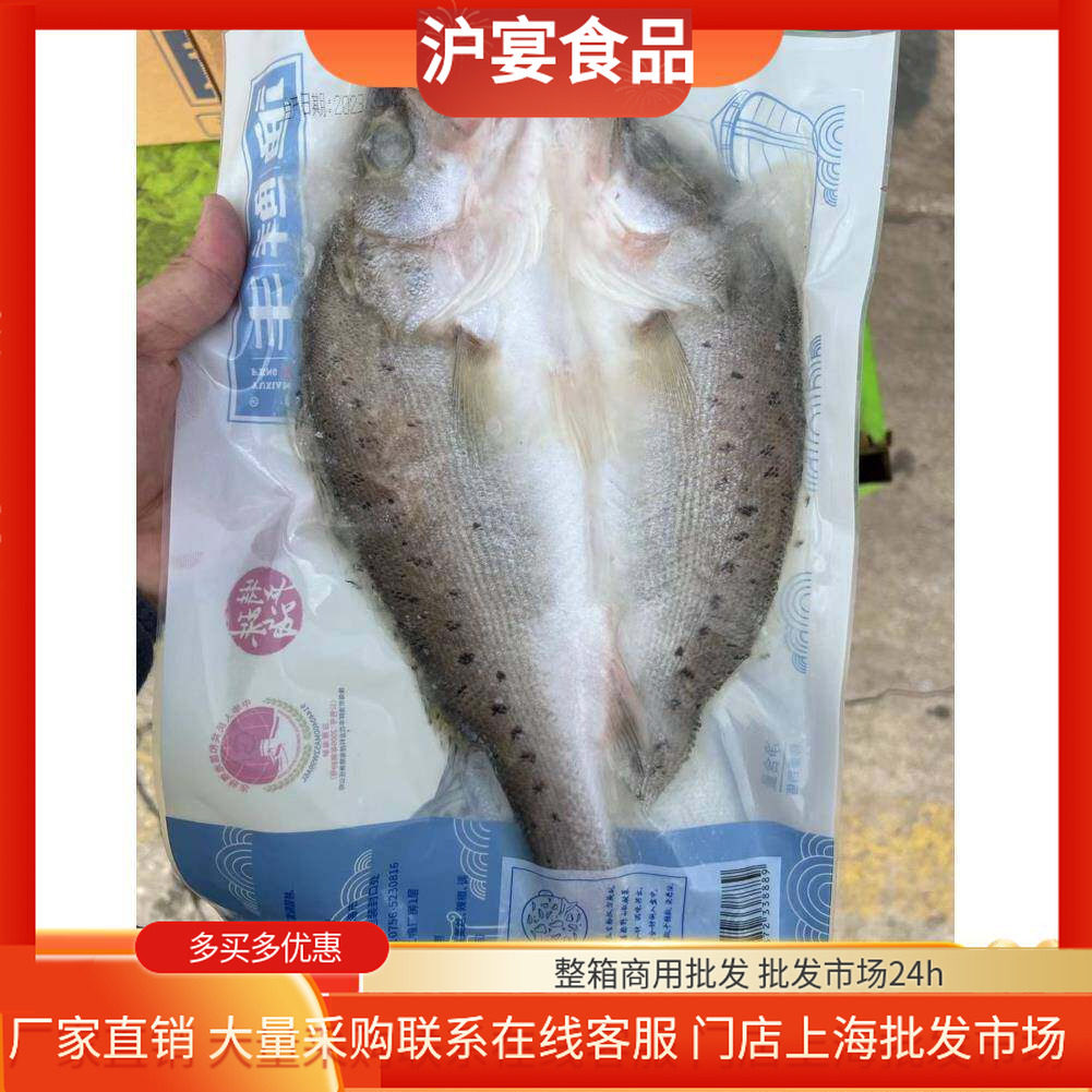 开背海鲈鱼新鲜冰冻水产开背卢鱼淡水鱼类