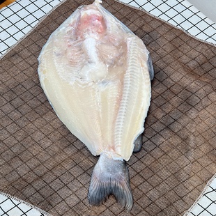 开背清江鱼商用鲜活冷冻烤鱼半成品食材纸包鱼整箱调味腌制鮰鱼