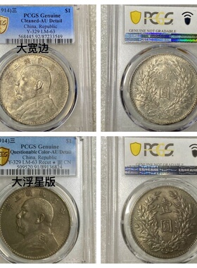 民国袁大头老银圆十年八背下五珠