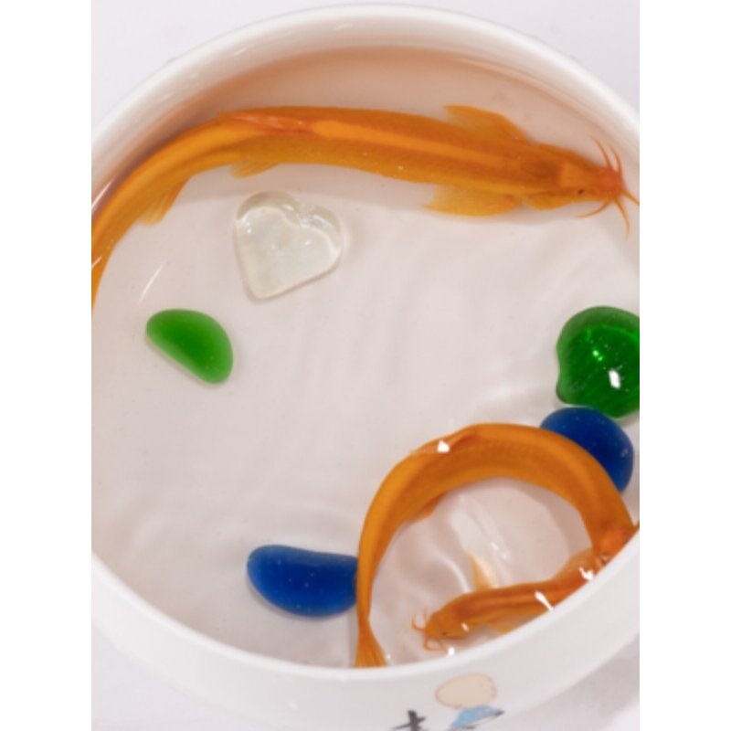 黄金鳅吃便鱼观赏鱼苗耐养清道夫鱼金鱼活鱼红泥鳅清洁垃圾粪便