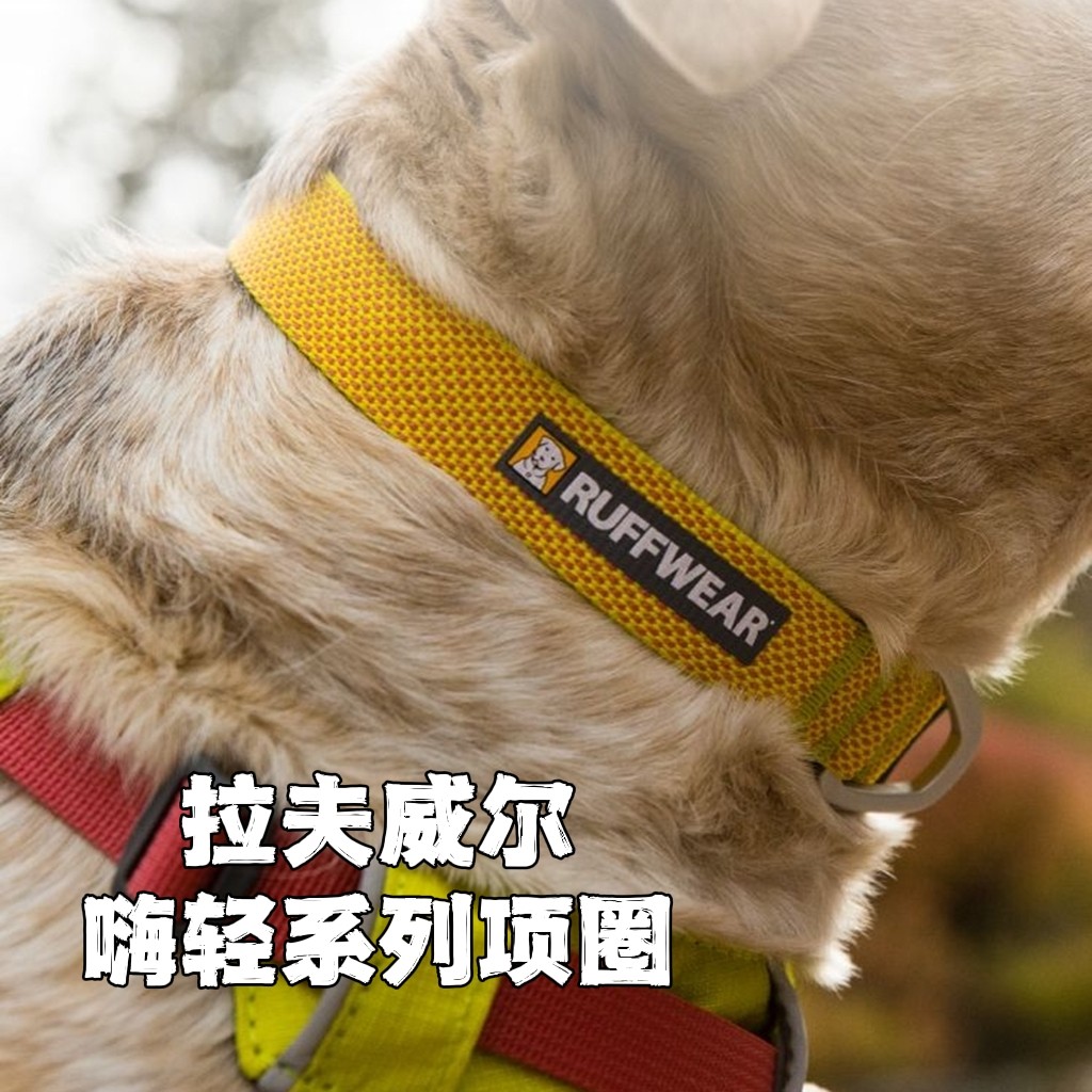 拉夫嗨轻项圈马卡龙配色固色耐用