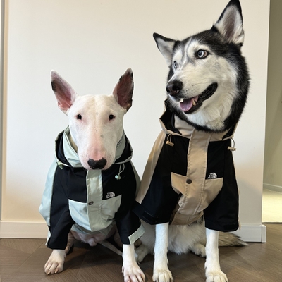 宠物冲锋衣高颜值宠物外套