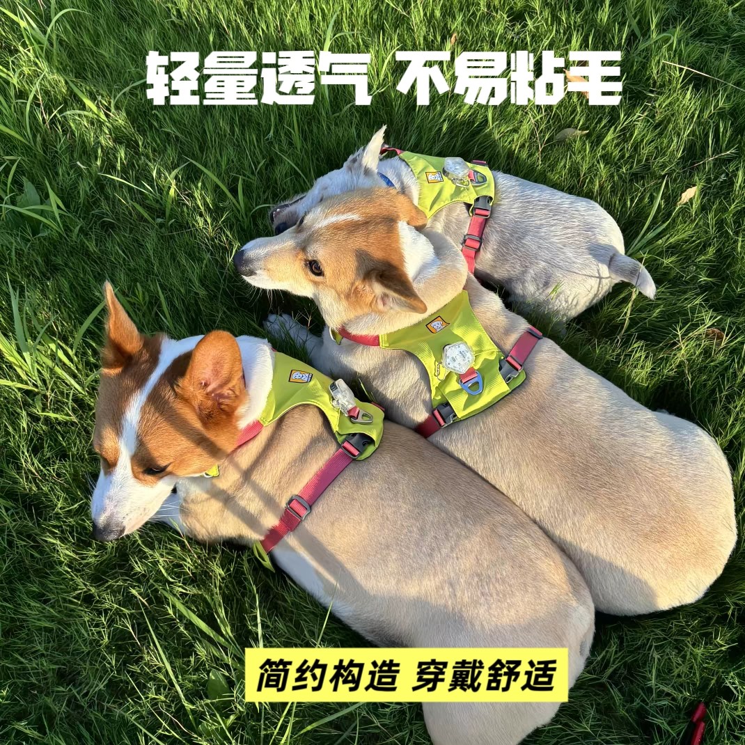 拉夫轻量型户外防爆冲胸背