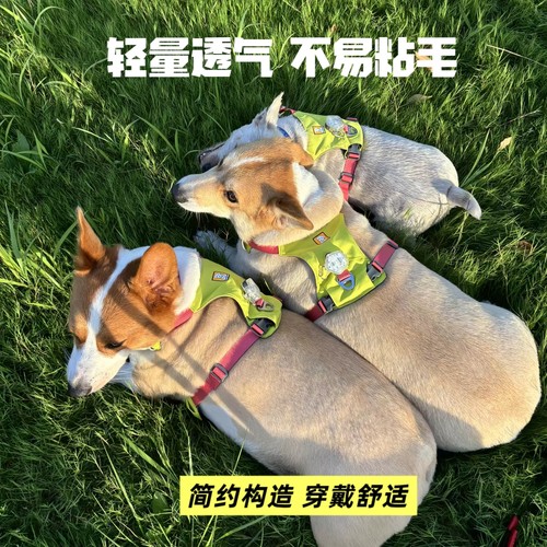 拉夫轻量型户外防爆冲胸背