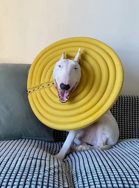 狗伊丽莎白圈大型犬防舔头套狗项圈宠物防咬圈猫咪耻辱圈狗狗用品