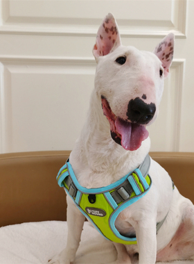 tuffhound宠物胸背带狗狗牵引绳背心式大型遛狗绳子中型犬胸背套