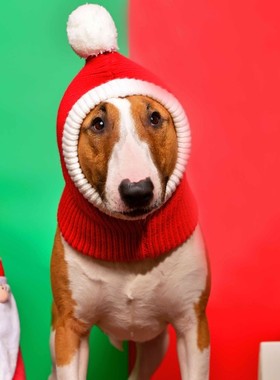 宠物秋冬毛线帽 秋冬防风狗狗猫咪帽子大狗胖狗法斗柴犬拉布拉多