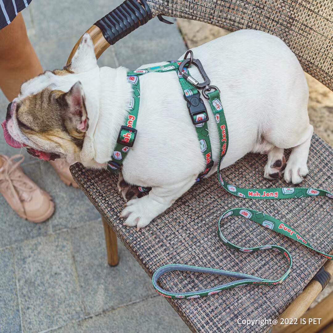 bond for love 宠物猫狗工字型胸背带防逃背心式遛狗绳狗带轻量型