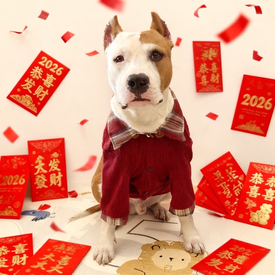 牛角扣针织宠物居家衬衣中大型犬