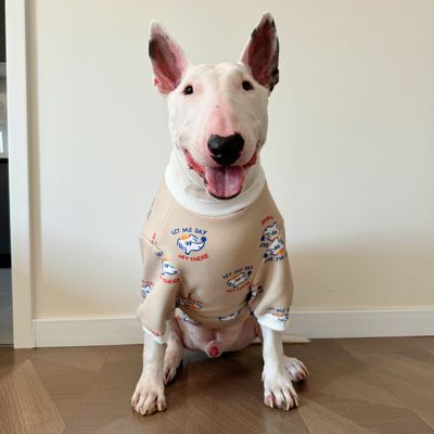 狗狗宠物纯棉加厚卫衣中大型犬