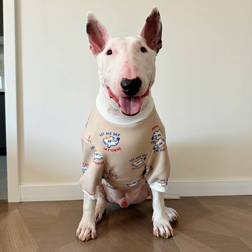 狗狗宠物纯棉加厚卫衣中大型犬