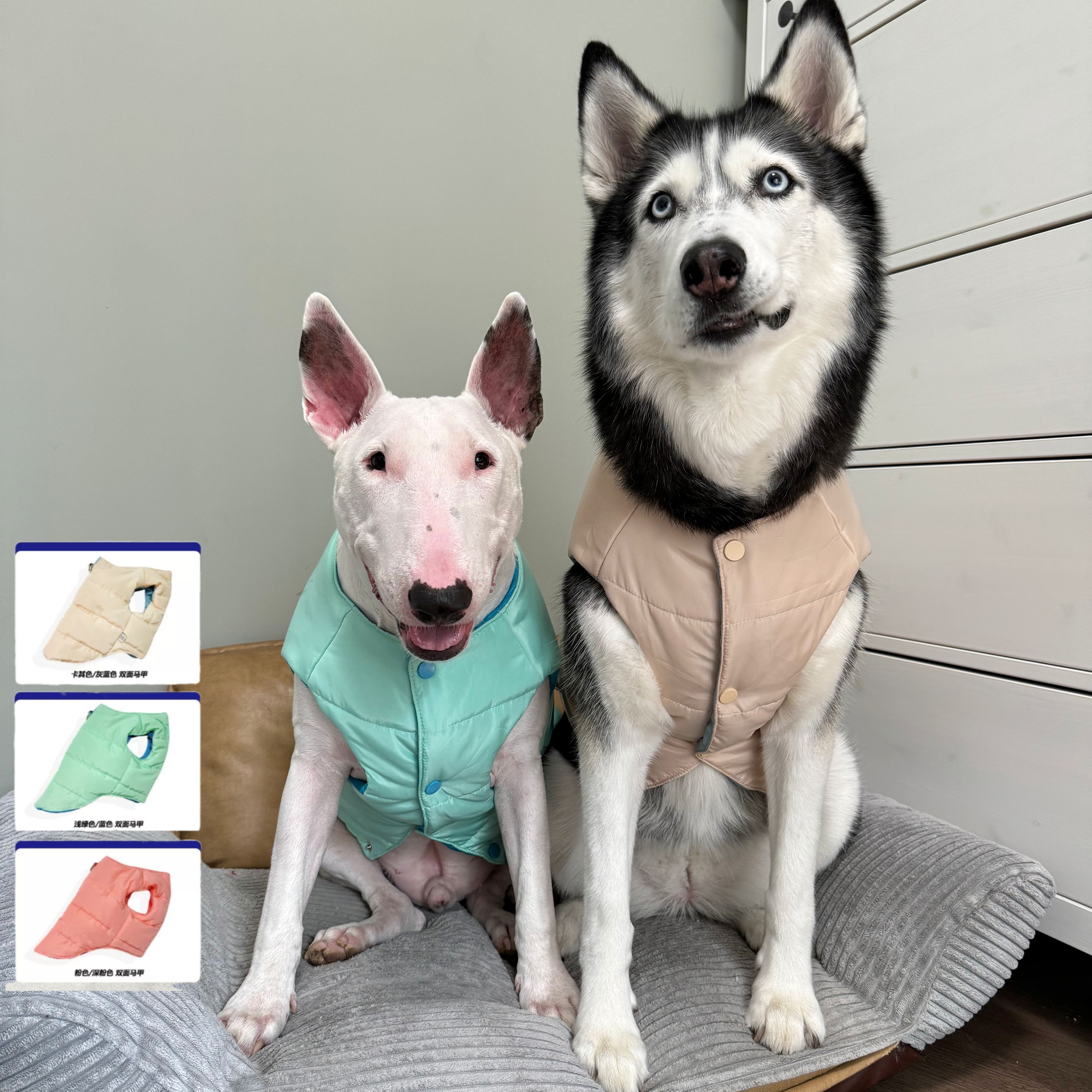 冬天宠物外套马甲三色双面穿狗衣服牛头梗恶霸斯塔福拉布拉多服饰