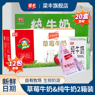 梁豐草莓味牛奶純牛奶網紅早餐牛奶共2箱裝 2箱牛奶